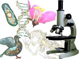 Құттықтаймыз!